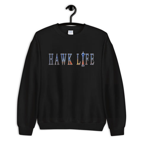 Hawk Life Sky